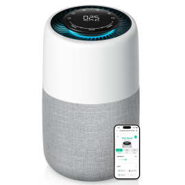 跨境新品空气净化器wifi智能APP控制AP01负离子除甲醛PM2.5宠物款