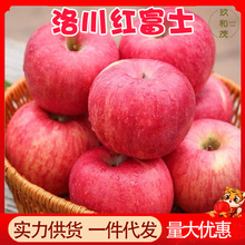 正宗陕西洛川红富士苹果9斤整箱当季新鲜水果10批发包邮5斤高山果