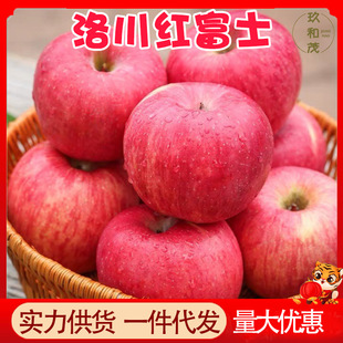 ��������崨�t��ʿ�O��9�����䮔�����rˮ��10���l���]5���ɽ��