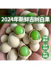 �׹����r�y�ӹ�2024����؛����v�_�y�Ӵ�Ř���Ʒ�NճŴ500g���]