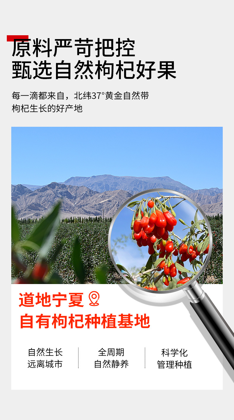 Goji Berry Puree Fresh Squeezed Ningxia Wolfberry Juice Ready to Eat 300ml 10 Sachets key features