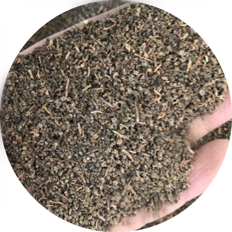 批发碱蓬种子海英菜、碱蒿籽、盐蒿植物种子 别称碱蒿盐蒿种子