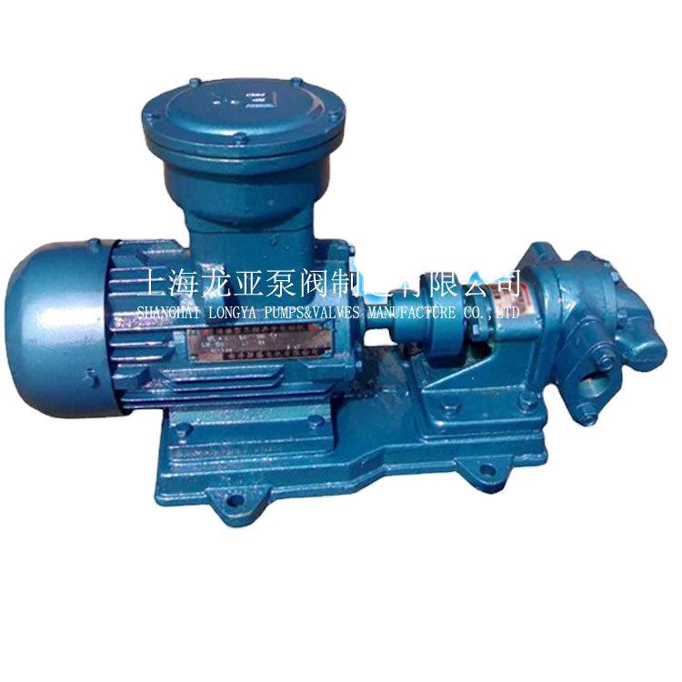 上海供应2CY3-25齿轮油泵 变频给油齿轮泵