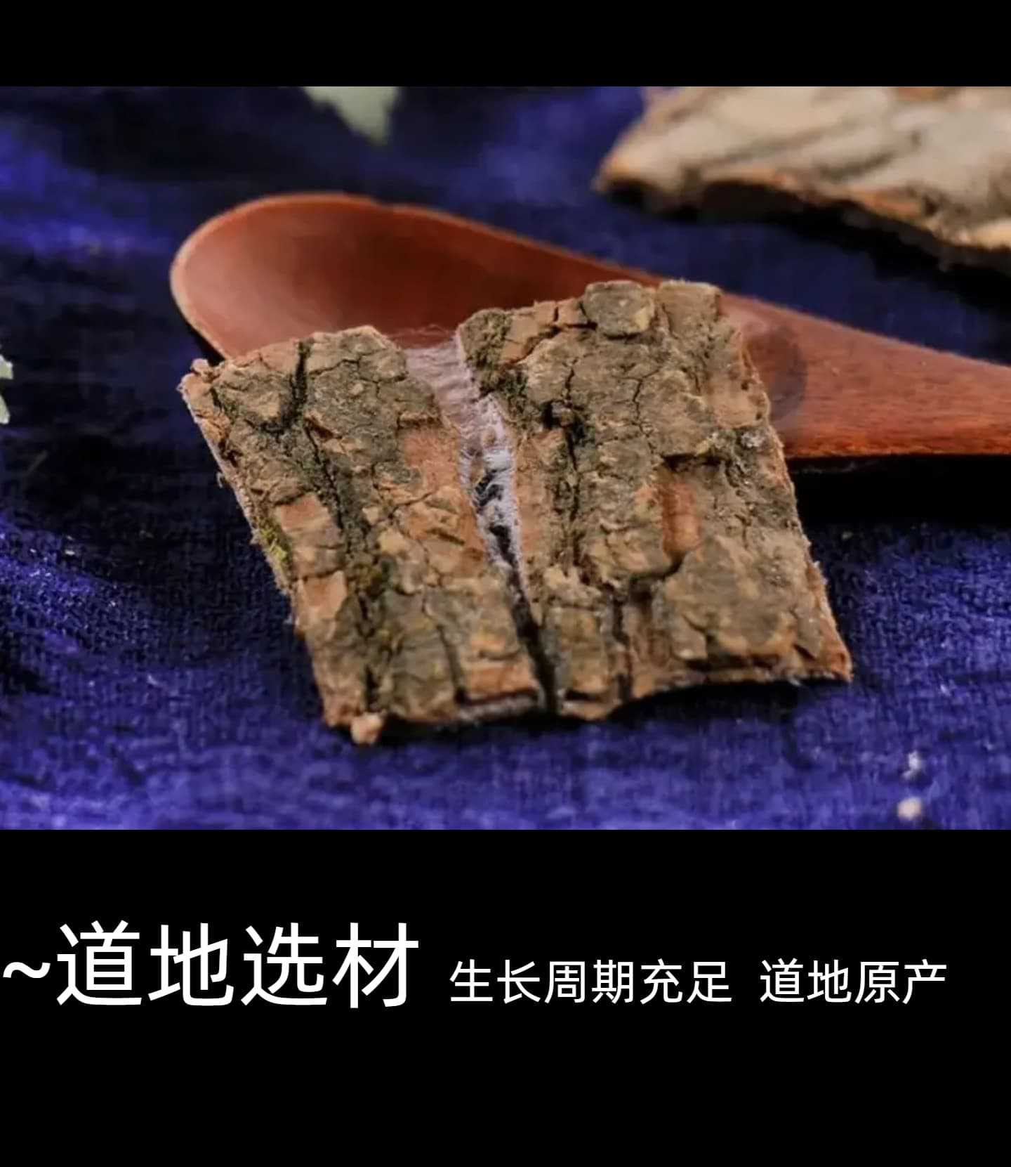 Dried Eucommia Bark Du Zhong 500g Traditional TCM Herb for Decoction and Soup in use