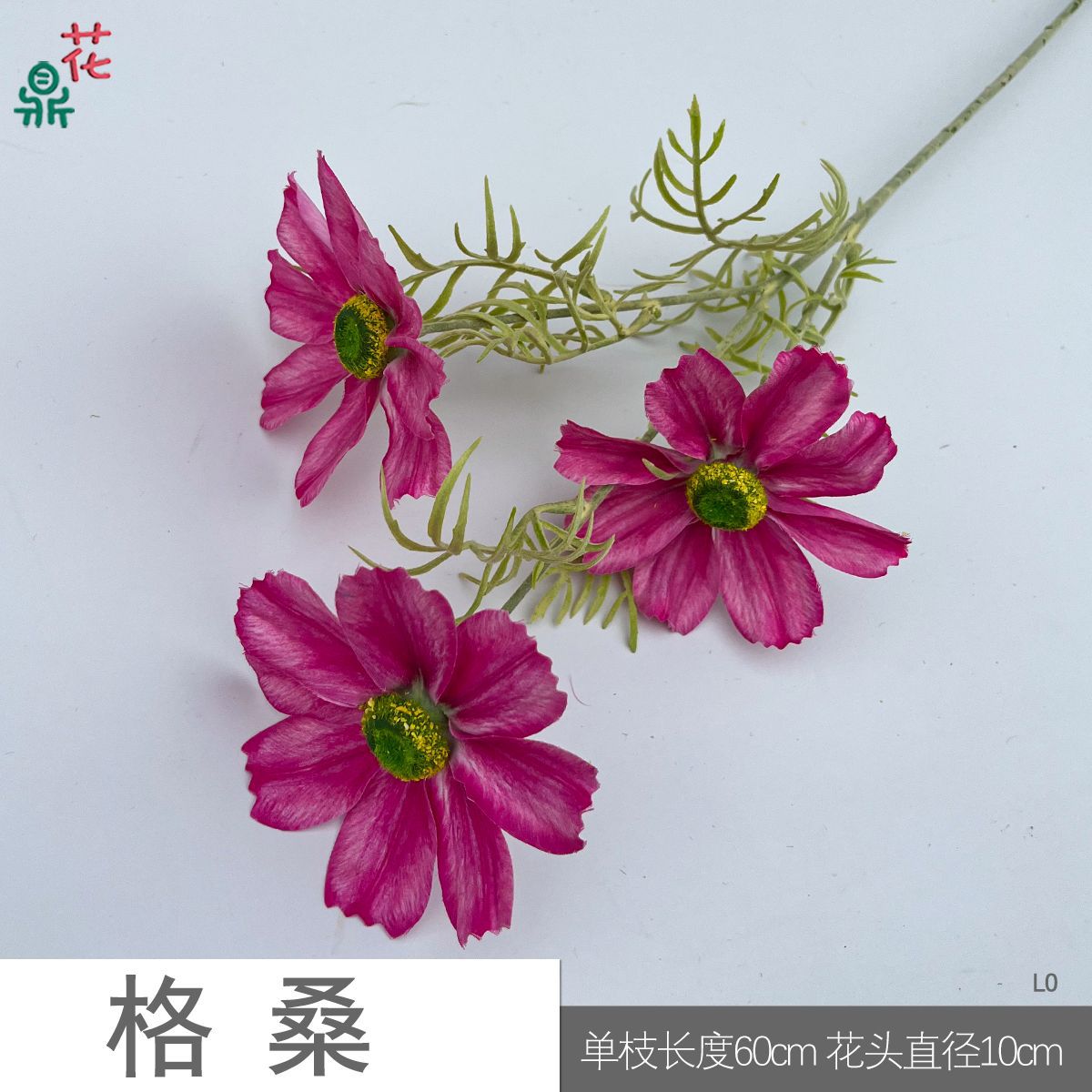 게상 LO 로즈 레드