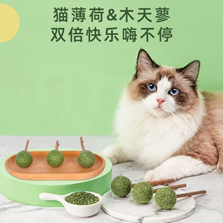 猫薄荷球木天蓼磨牙棒系列批发猫咪洁齿解闷促排毛猫草逗猫棒玩具