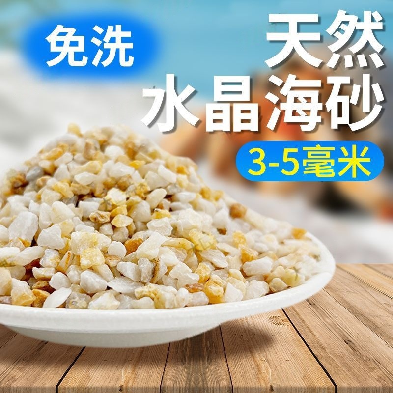 海砂寄居蟹専用砂水草カニ底砂石亀敷底純天然流砂水槽底砂|undefined