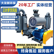 鲁式罗茨鼓风机龙铁机型厂家一手价格批发噪音低压力稳定气力输送