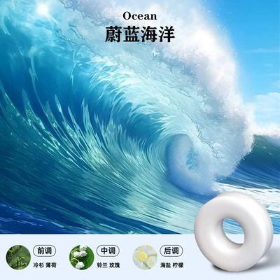 Diffuser Cross-Border Fragrance Car – Car Perfume Aromatherapy - replacement-scent-pad-ocean-4-pieces