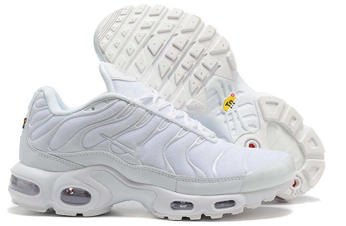 tn 아이보리 화이트