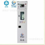 SIH4单瓶全自动防爆特气柜定制进口品牌1/4VCR系统
