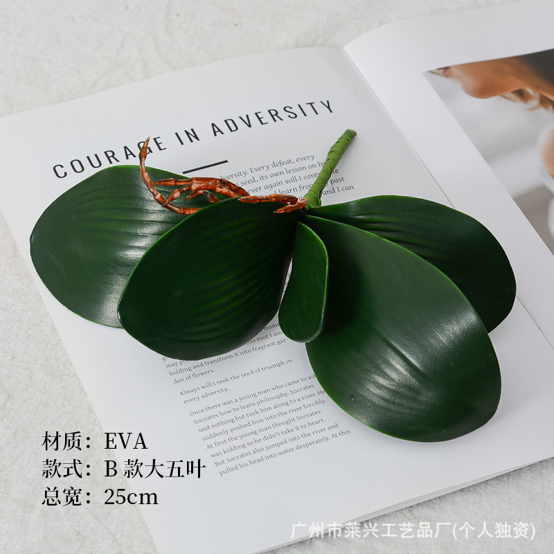 EVA-B 큰 다섯 잎