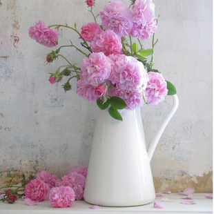 �羳�S�ҷ�ʽ�͹�insͬ��s���W��ɫˮ���̉�ˮ���մɻ�ƿ�[��