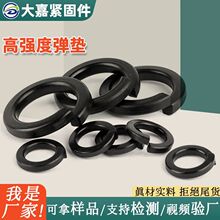 8.8���Ӻ��_�ڏ��|�ߏ��Ȱl���_�ڏ��ɉ|Ȧ�|Ƭ�|Ƭ�A˾���Ӊ|Ȧ