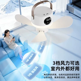 电子灭蚊器;USB风扇;烘鞋器干鞋器