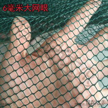 �����O�W���ϾW�䲻���~�~�׸��x�W̧�~�W�~�\�D�ϴ������ǾW�۲�