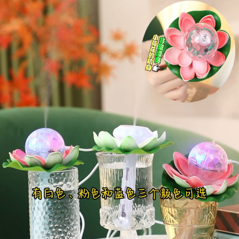 小荷花5.jpg