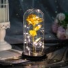 Gold foil rose Plastic cover led Valentine's Day Mother's Day Festival gift Flower Decoration luminescence Tanabata