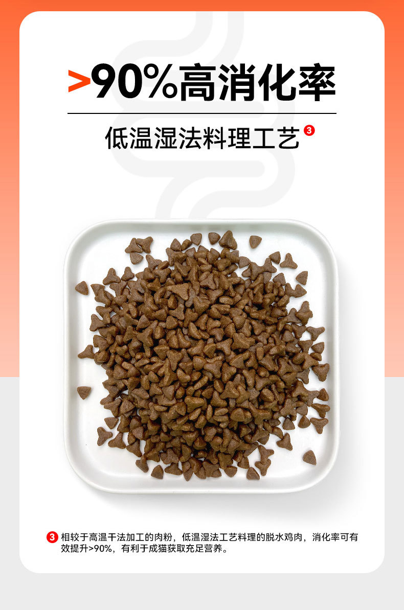 金装升级成猫粮_05