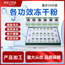 冻干粉套盒修护活性补水保湿嫩肤面部护理美容院拓客专用亮肤