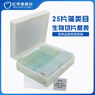 红苹果教仪学生儿童实验载玻片英文标签25种藻类切片永久装片套装