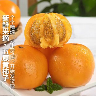 ɽ�|��ԭ�S���Ѯ����S���t�����Ѱ��]���rˮ���߲��S����һ�����l