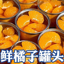 橘子水果罐头当季新鲜橘子罐头桔子开罐即食整箱装批发