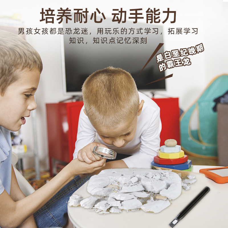 Dinosaur fossil archaeology digging toy fossil archaeology toy wholesale children's handmade DIY educational toy