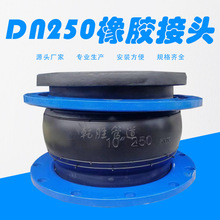 DN250���z���^ ���������zܛ���^ ���zܛ�B��Դ�^�S�����l