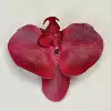 Big, red, 3D, 11.5cm