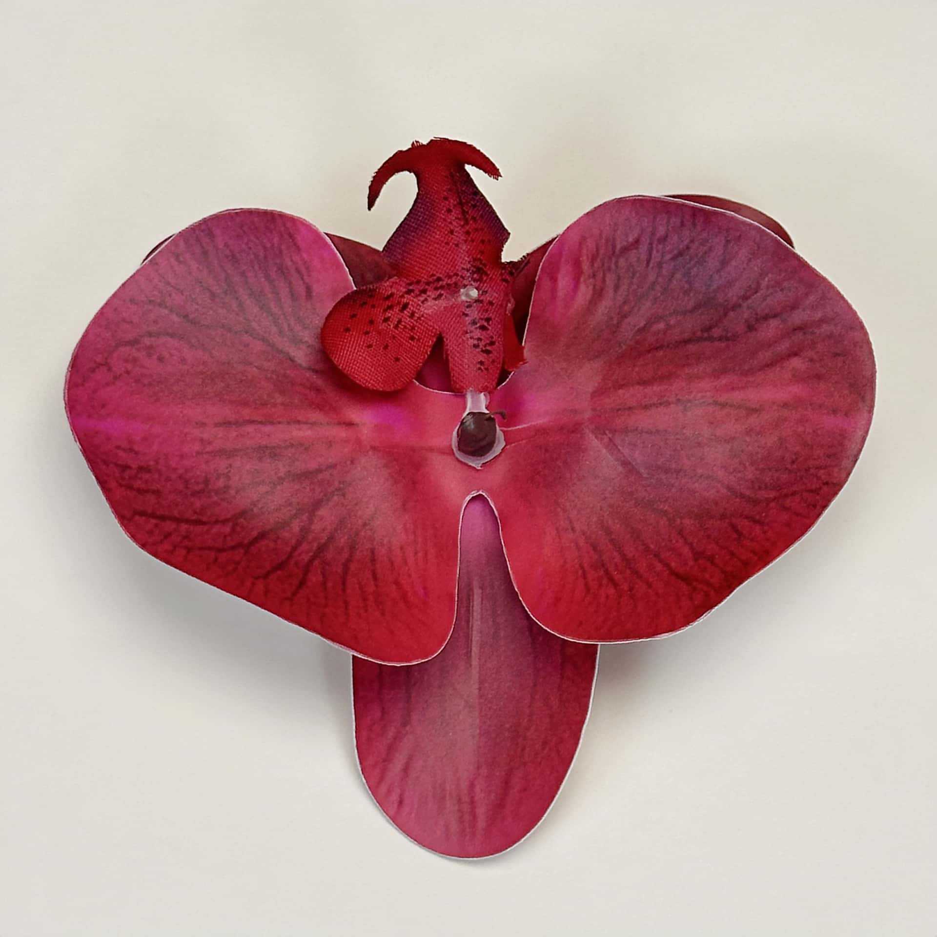 Película 3D de gran tamaño 11,5 CM-rojo