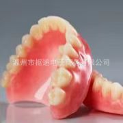 Silicone Denture Set for Beautiful Teeth, Comfortable Smile, Material Care, Modification, Denture Protection, Denture Care
