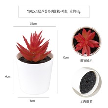 ��Ӷ�������������� ��������ĥɰС�辰����[���YƷ�������