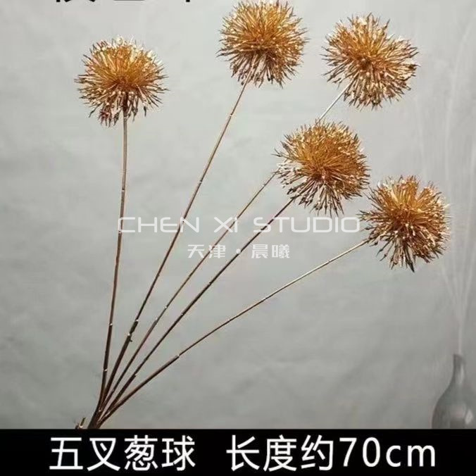 다섯 머리 양파 공