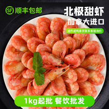 ���ô󱱘O���r1kg������r���Ϻ��r���r�������l�������O�r