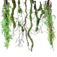 手工仿真苔藓树藤青苔藤枯藤森系雨林造景悬挂吊饰假藤条垂挂树枝