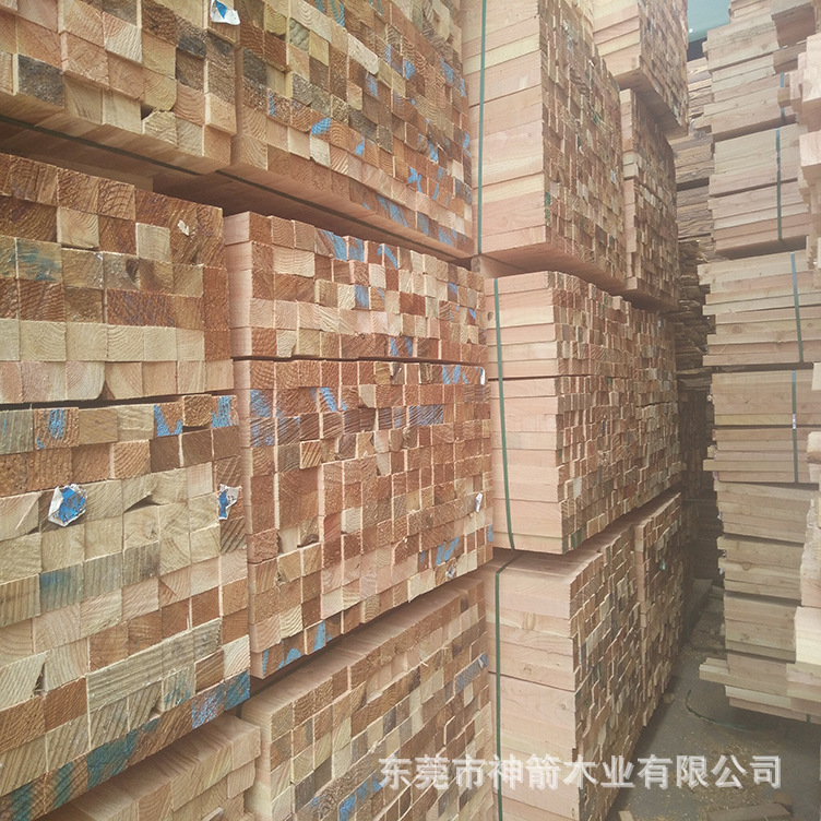 ����������ľ�� ������������  ������� ��������