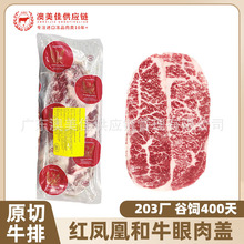 ����203�t�P�˺�ţ�����wM4-5��ţѩ��ţ��ԭ��ţ�ſ����������l