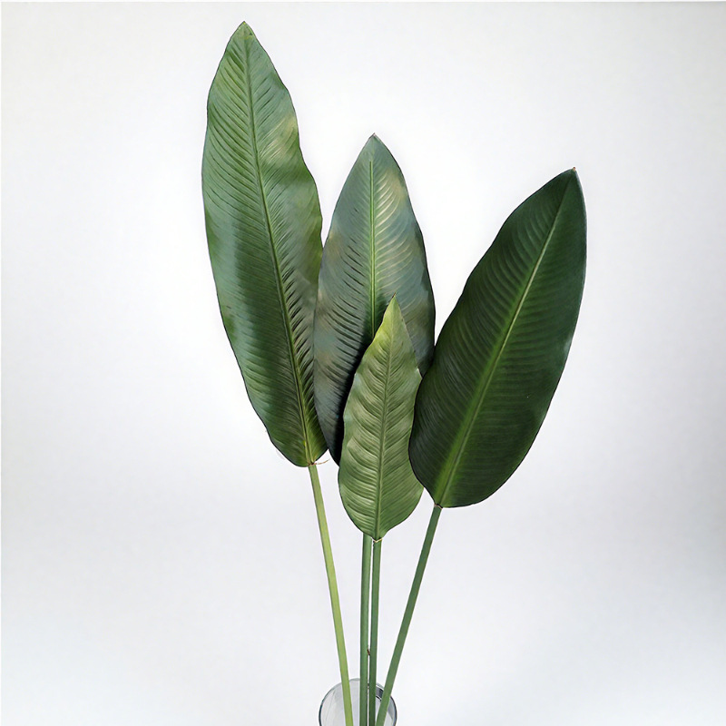 Venta directa de fábrica Productos transfronterizos Simulación de alta gama Sensación de goma Hoja de plátano Lecho de plátano Simulación de hoja de plátano Planta