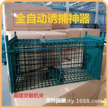 全自动机关绿色笼子 前后双铁门折叠捕猫笼 野猫陷阱笼 捕捉工具