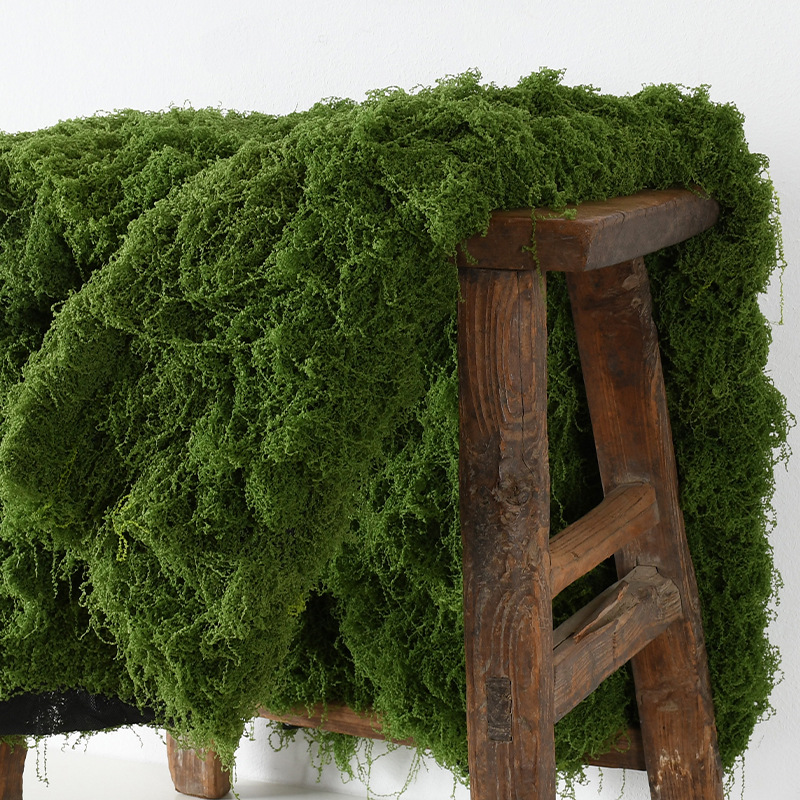 Simulación de musgo filamento césped Musgo albicans Simulación de musgo lanceado Disposición del paisaje Césped maceta de bonsai