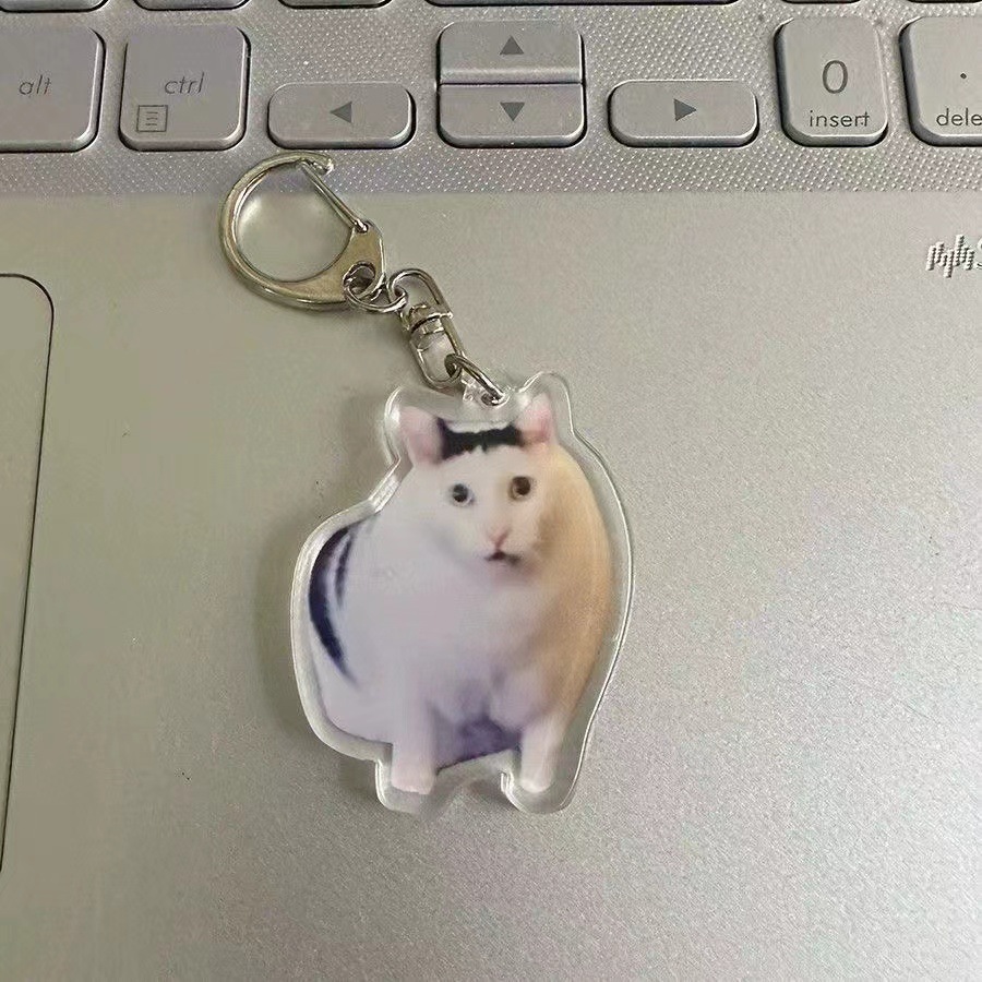 아크릴 키 체인 새로운 귀여운 고양이 밈 키 체인 우는 고양이 키 체인 잘못된 고양이 펜던트 키