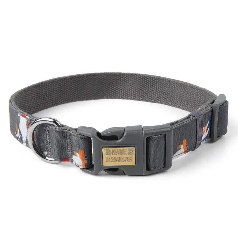 Grey (perro)