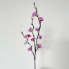 Small, purple