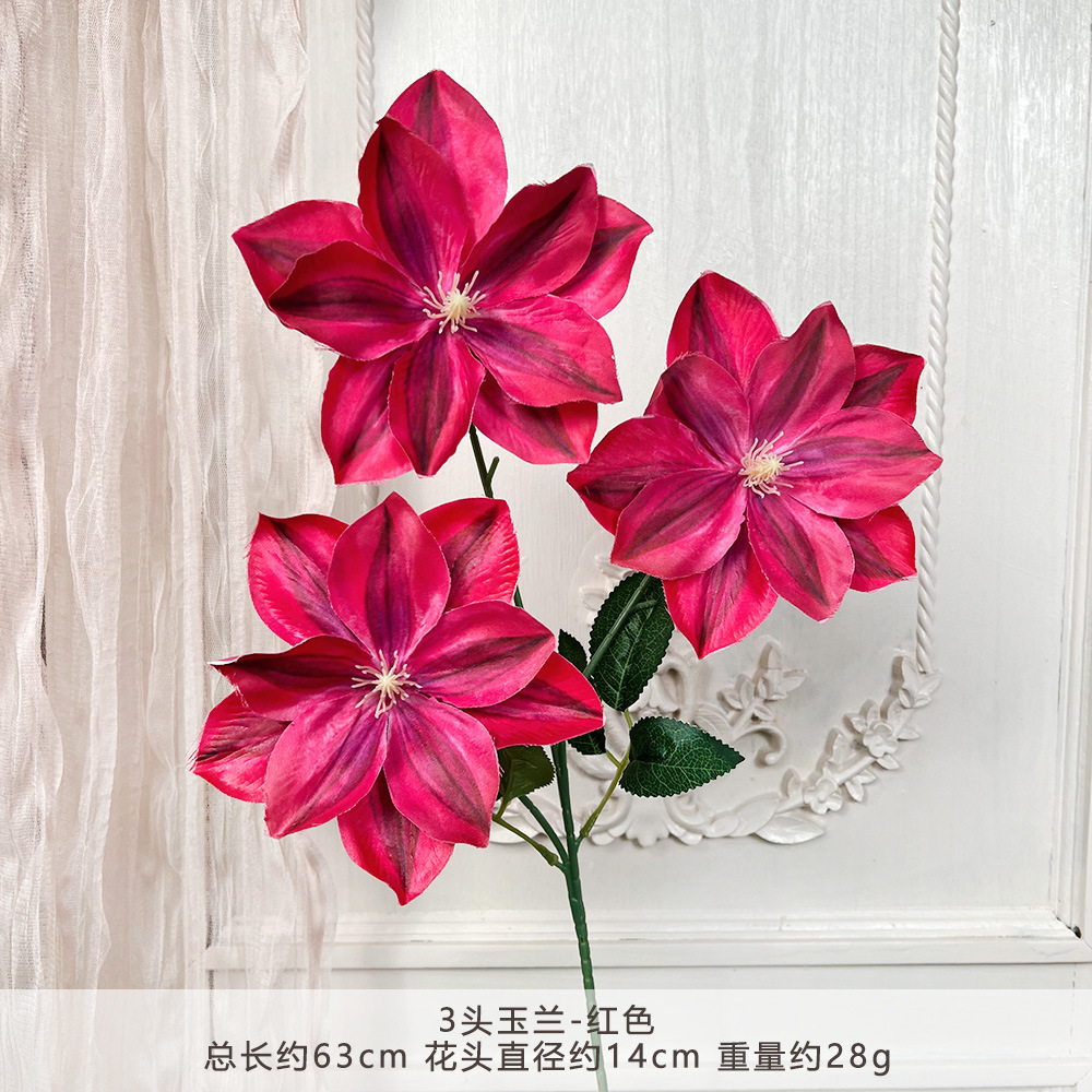 Fy-3 magnolia - red