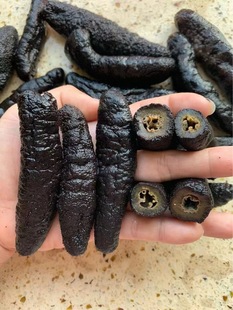 60�^�״̅��o���������䅢�̅�������؛�ڞ����Ƶ�ʳ�Ĵ������l