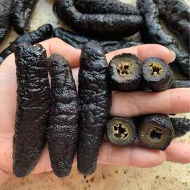 60头米刺参无带刺土耳其参刺参海参干货黑乌参酒店食材大量批发