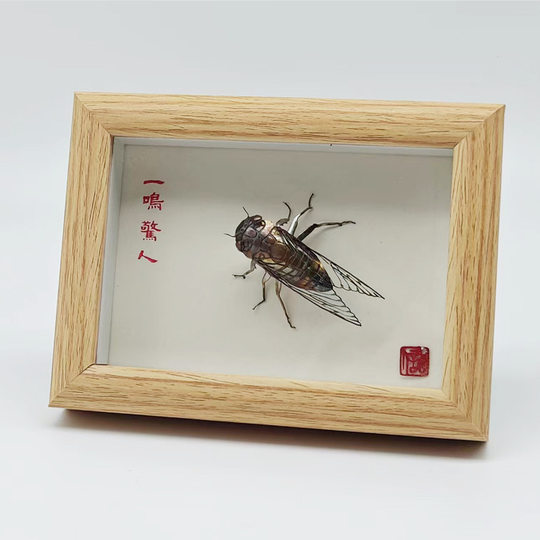 Wuhu Iron Painting Living Room Is Amazing Ornaments Handicrafts Anhui Special Gifts Conference Room Business Souvenirs