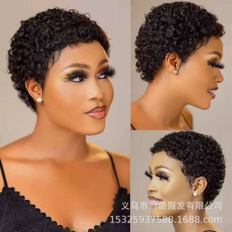 Cross-Border African Curly Hair Short Synthetic Wigs, Fashionable European and American New Style Wigs for Black People, Wholesale Curly Hair