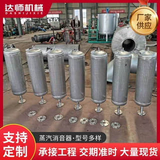 达师机械 蒸汽排放消音器 蒸汽放散消声器  蒸汽管道消音器